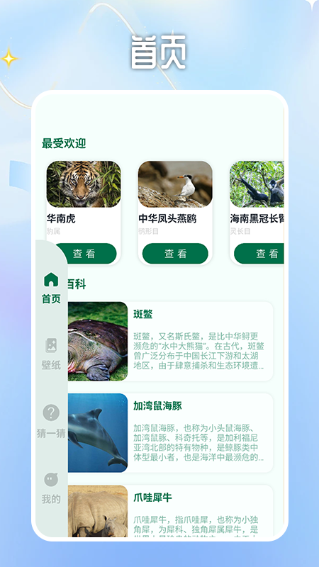 迷雾大陆世界截图1