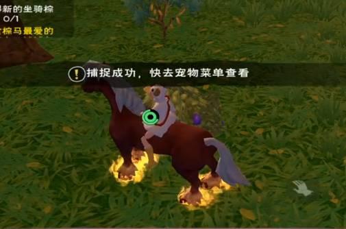 创造与魔法鳞甲海龟怎么获得