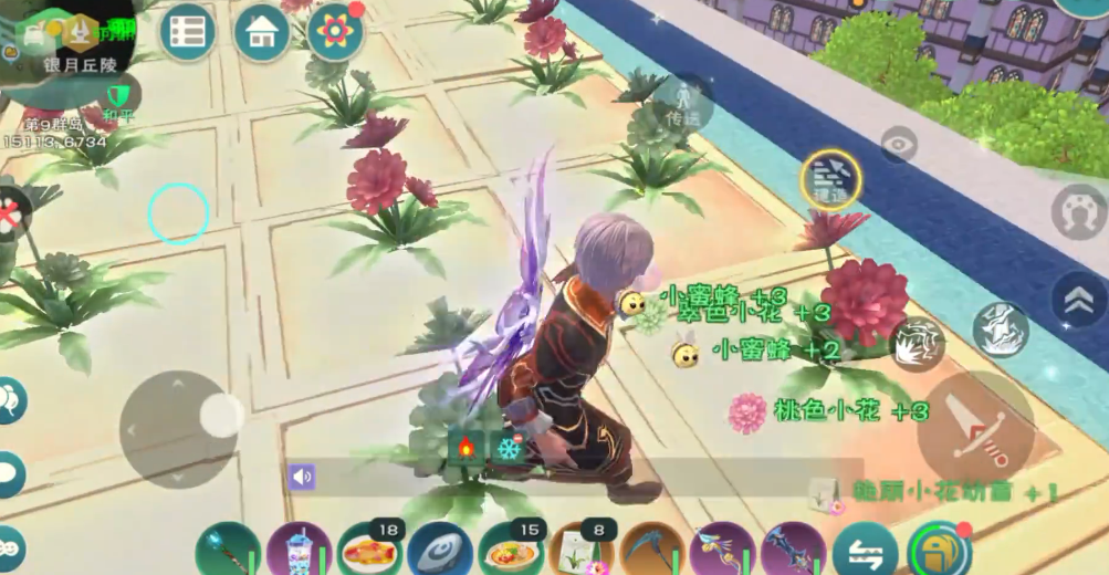 创造与魔法绿色的小花在哪有