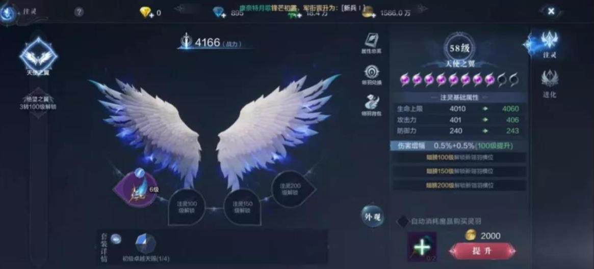 全民奇迹2灵羽哪个玩法获得