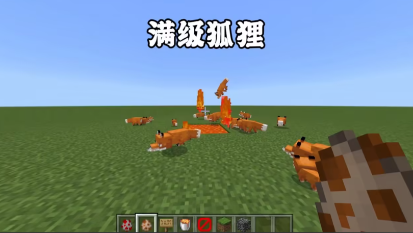 我的世界狐狸可以干什么