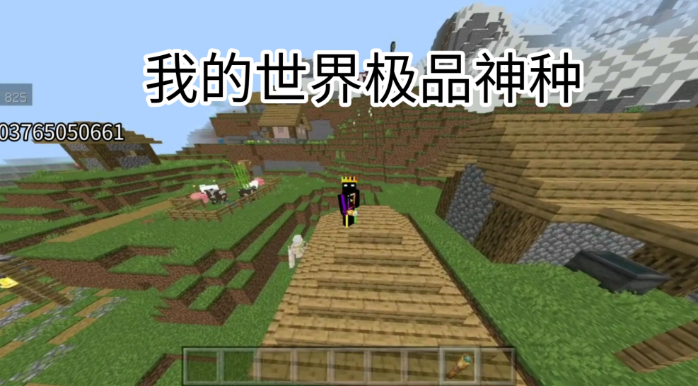 我的世界20个神种有什么用