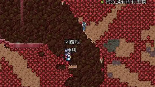 泰拉瑞亚草药怎么种植