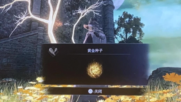艾尔登法环新手玩什么职业