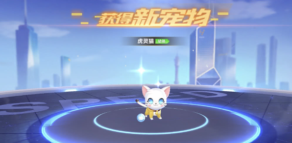 qq飞车车王回归三选一哪个好 qq飞车车王回归三选一哪个好