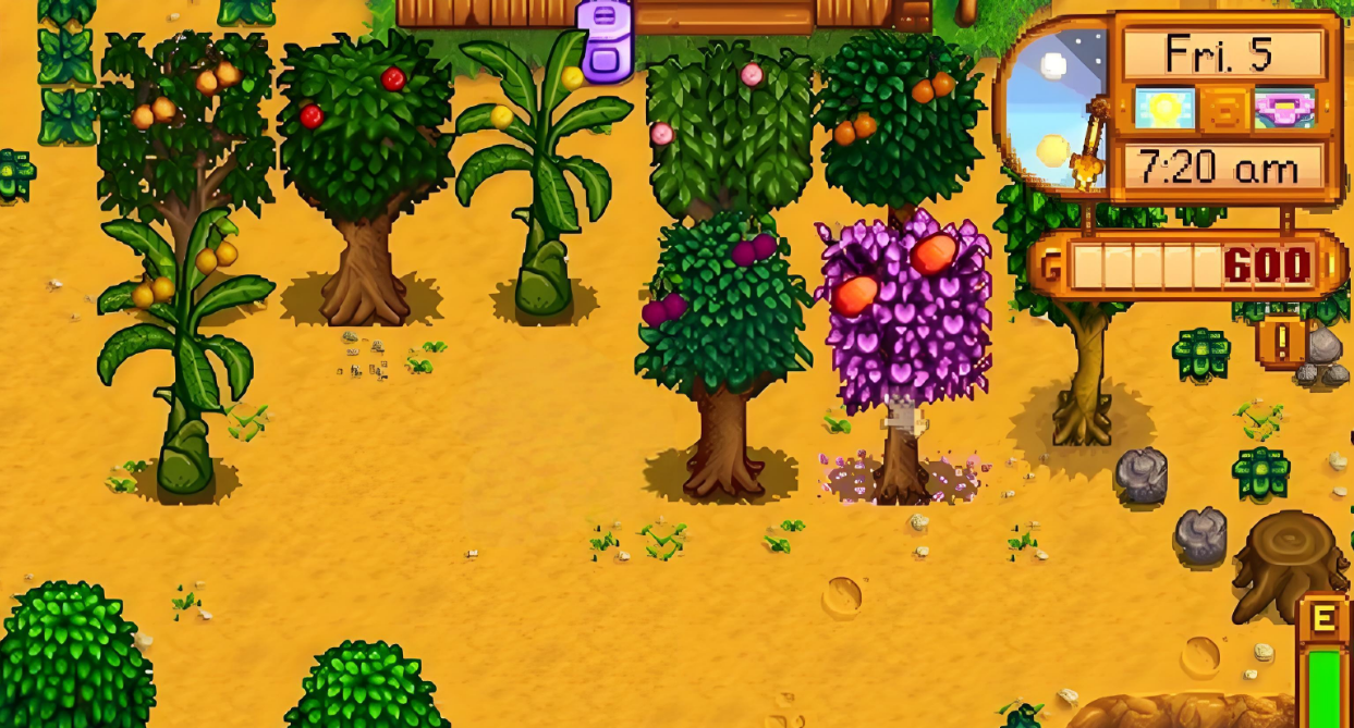 星露谷物语种什么果树最好 星露谷物语种什么果树最好