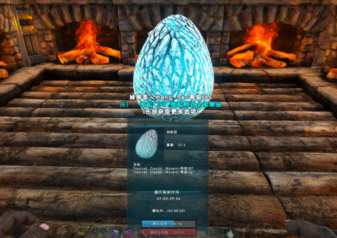 方舟生存进化手游怎么孵龙蛋 方舟生存进化手游怎么孵龙蛋