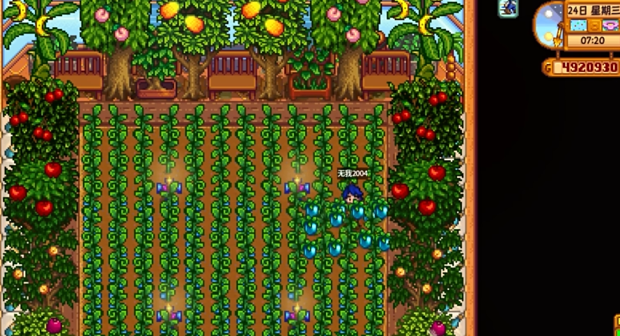 星露谷物语什么流派好