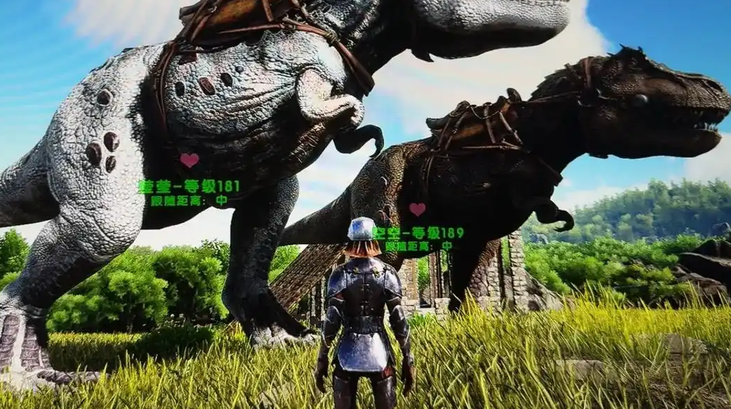 方舟生存进化怎么驯龙