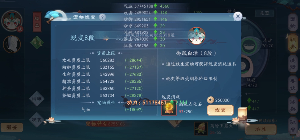 新笑傲江湖传功宠物怎么玩 新笑傲江湖传功宠物怎么玩