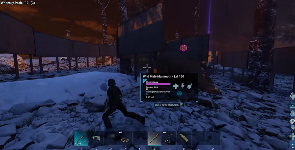 方舟生存进化驯龙顺序怎么弄 方舟生存进化驯龙顺序怎么弄