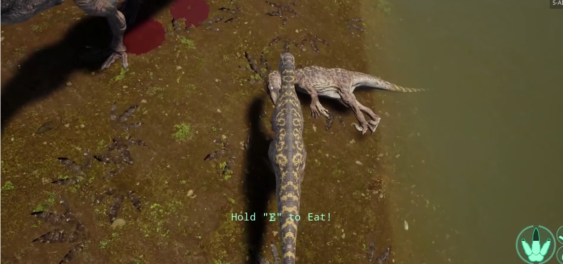 恐龙岛怎么样才能玩稀有的龙