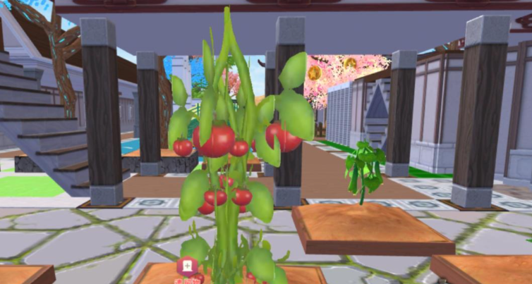 创造与魔法监狱在哪个岛