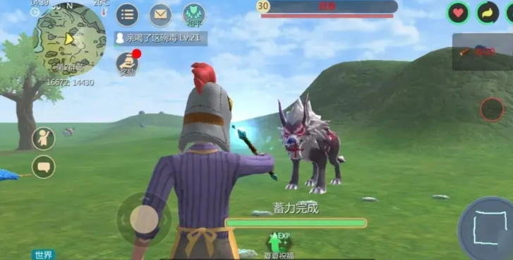 创造与魔法怪物归属怎么判定