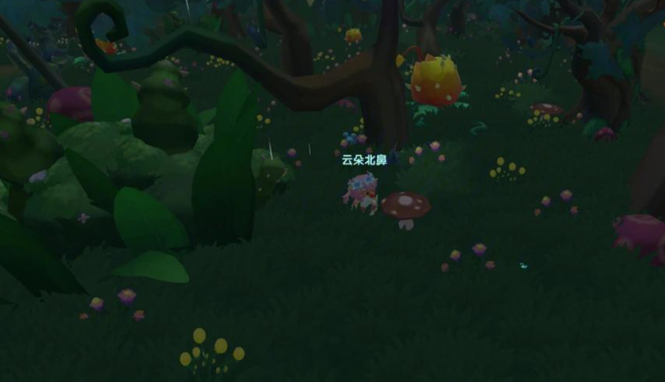 摩尔庄园黑暗森林怎么钓鱼