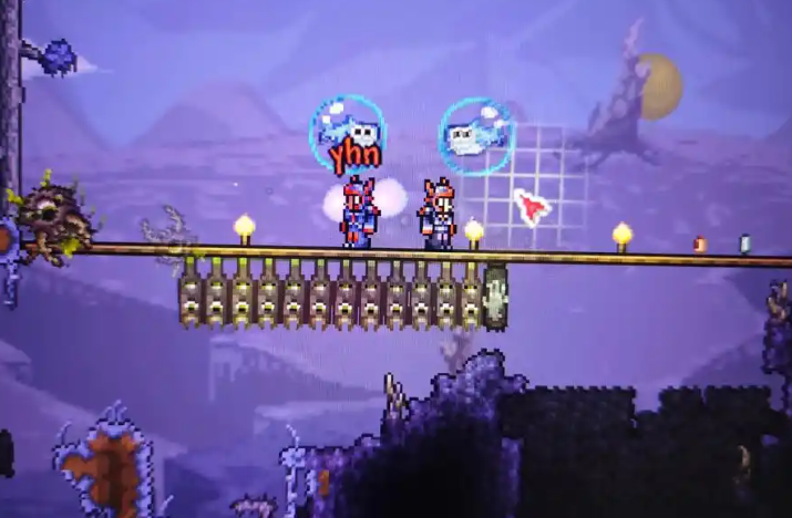 泰拉瑞亚宠物什么用