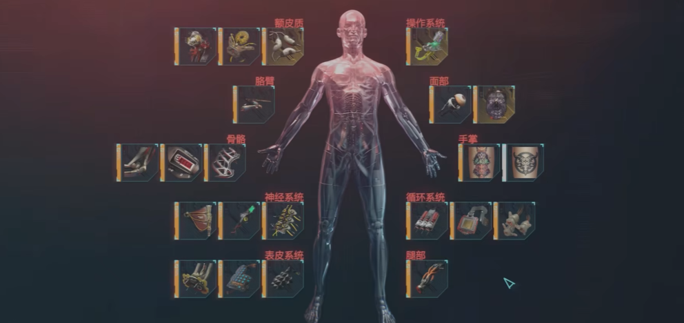 赛博朋克2077毕业装备在哪