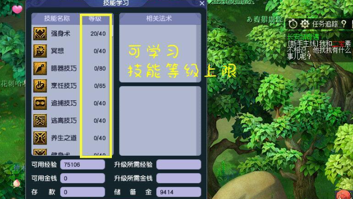 梦幻西游人族魔力点加什么用