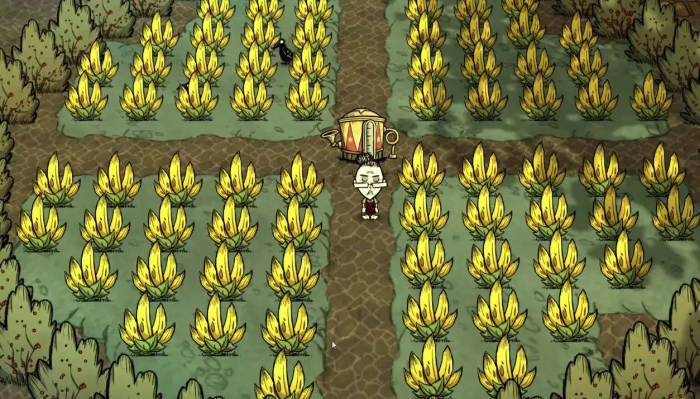 饥荒怎么活过100天