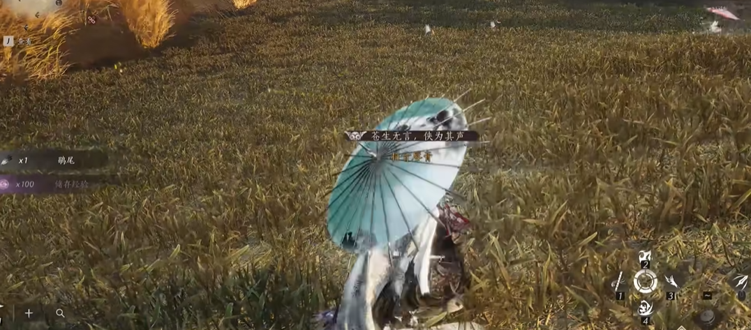 燕云十六声狼主在哪里