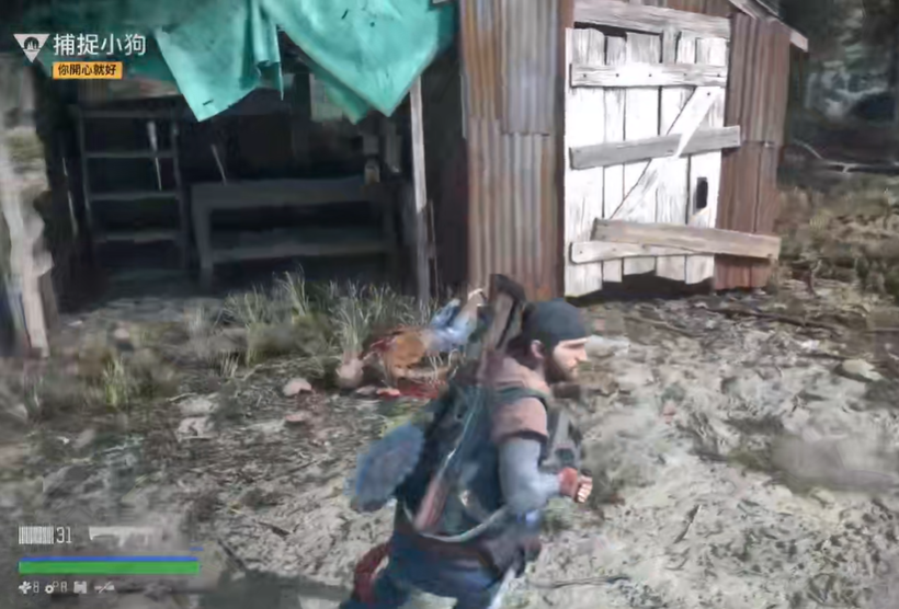 往日不再捕捉小狗任务怎么过