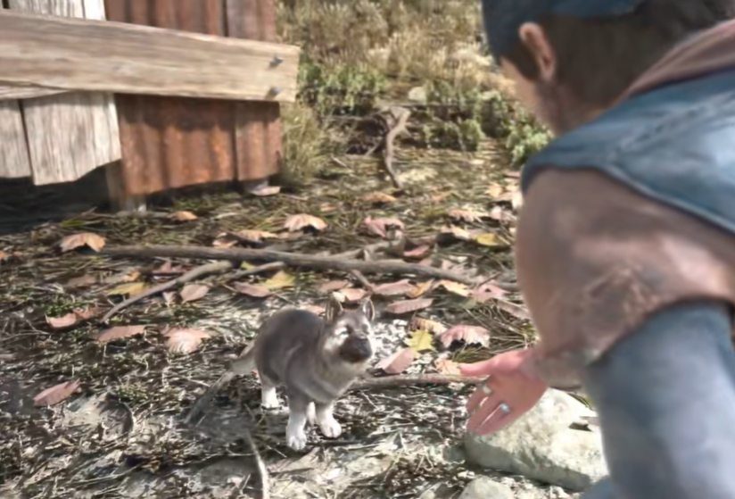 往日不再捕捉小狗任务怎么过