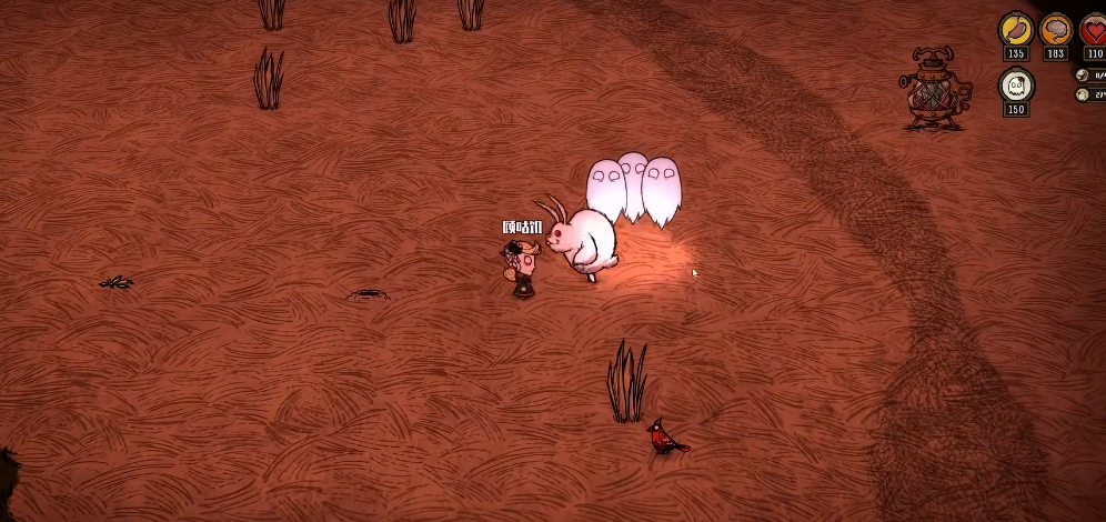 饥荒中温蒂怎么玩